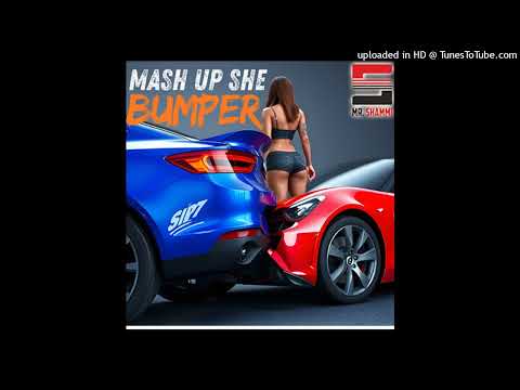 Mr Shammi-Mash Up She Bumper (Radio Edit)